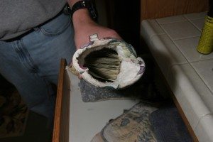 Money hidden in oven mitt
