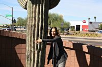 Janice Boekhoff cactus