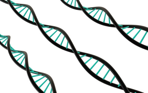 Is it Wrong to Manipulate Human DNA Like It's Computer Code? • WildBlue ...