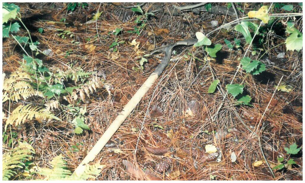 The shovel as it appeared abandoned in the woods. Evidence revealed Monique’s blood on the steel. Photo taken by the Jacksonville Police photographer.