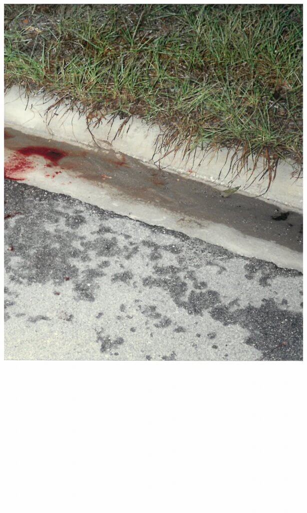 Blood traces found on the curb, where Monique had exited the woods. Photo taken by the Jacksonville Police photographer.